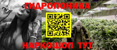 молекула духа Краснодар