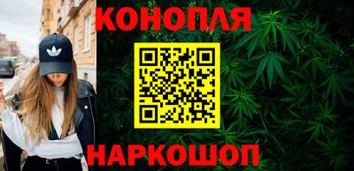 сатива Краснознаменск
