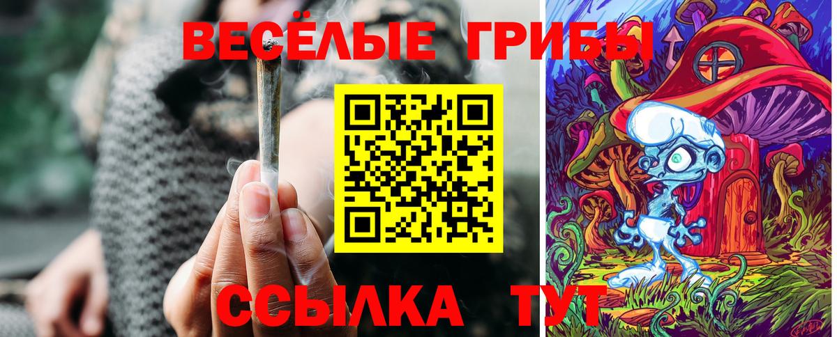 Кинель  купить закладку  Вход с VPN  Псилоцибиновые грибы мухоморы 